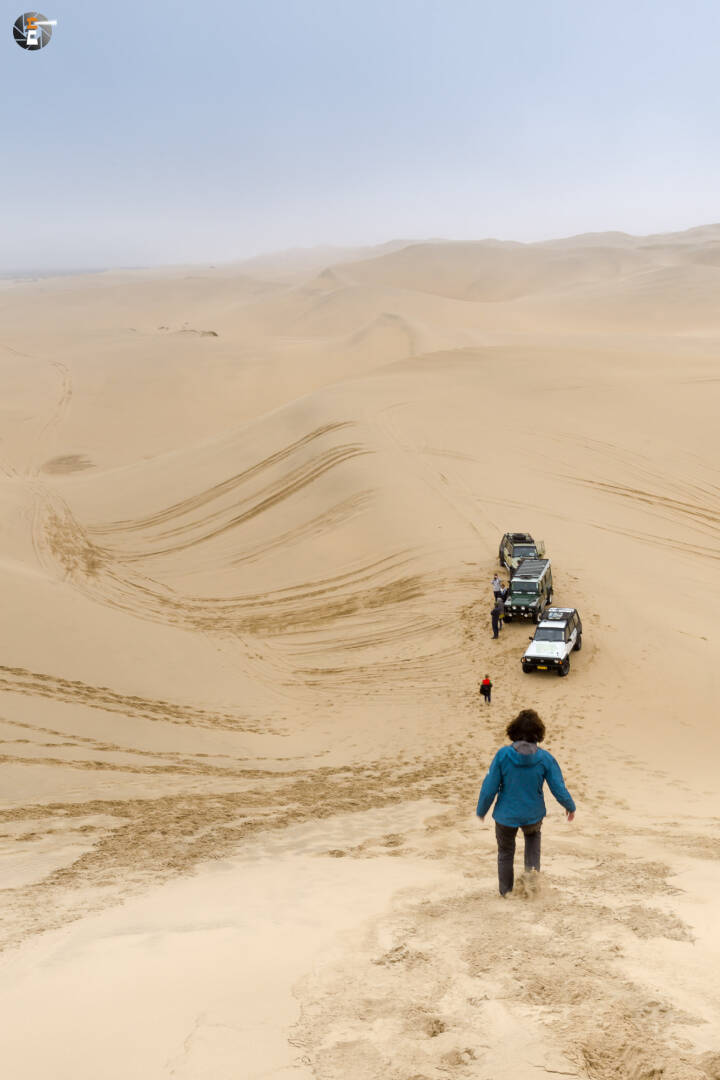 In den Dünen an der Sandwich Harbour