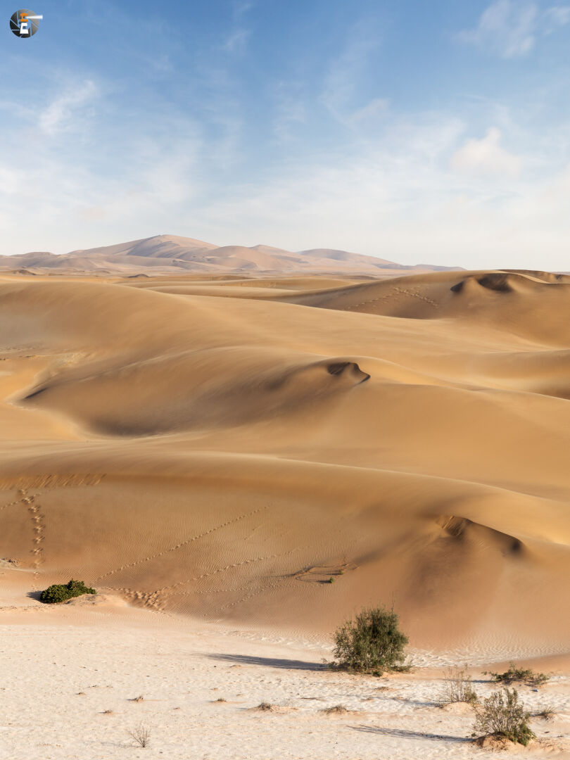 At the edge of the Namib