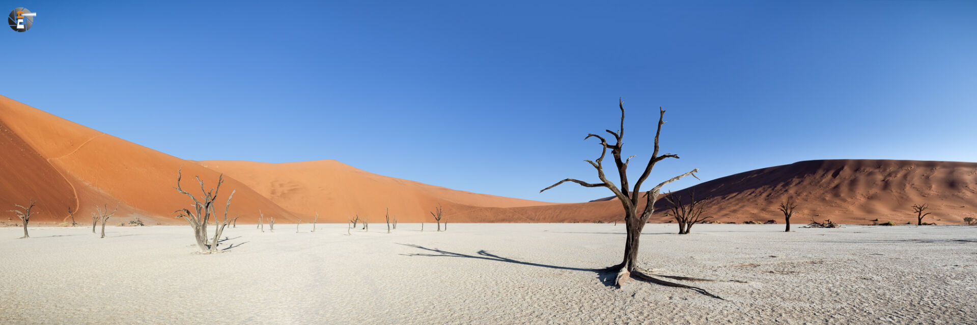 Dead Vlei