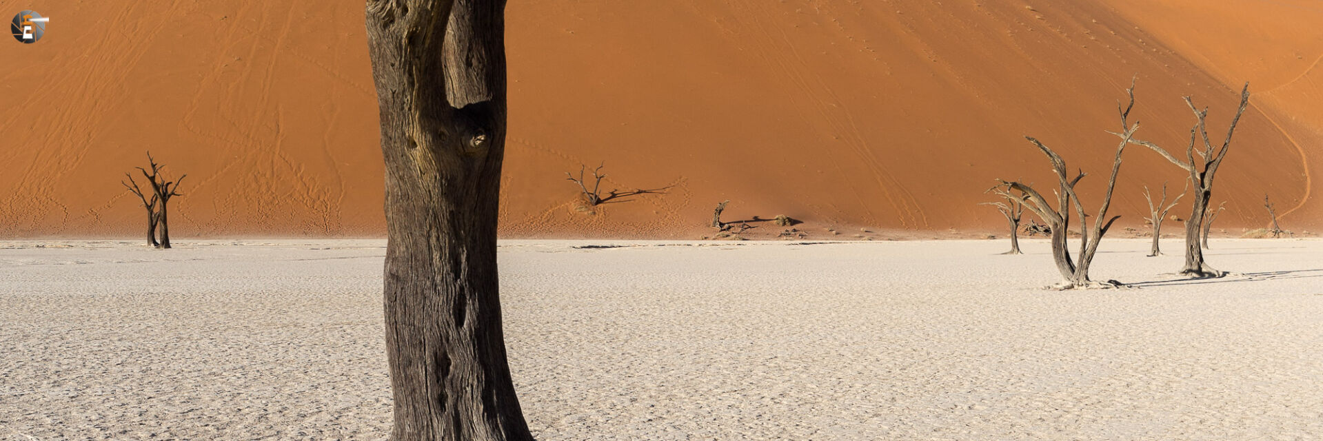 Deadvlei close-up