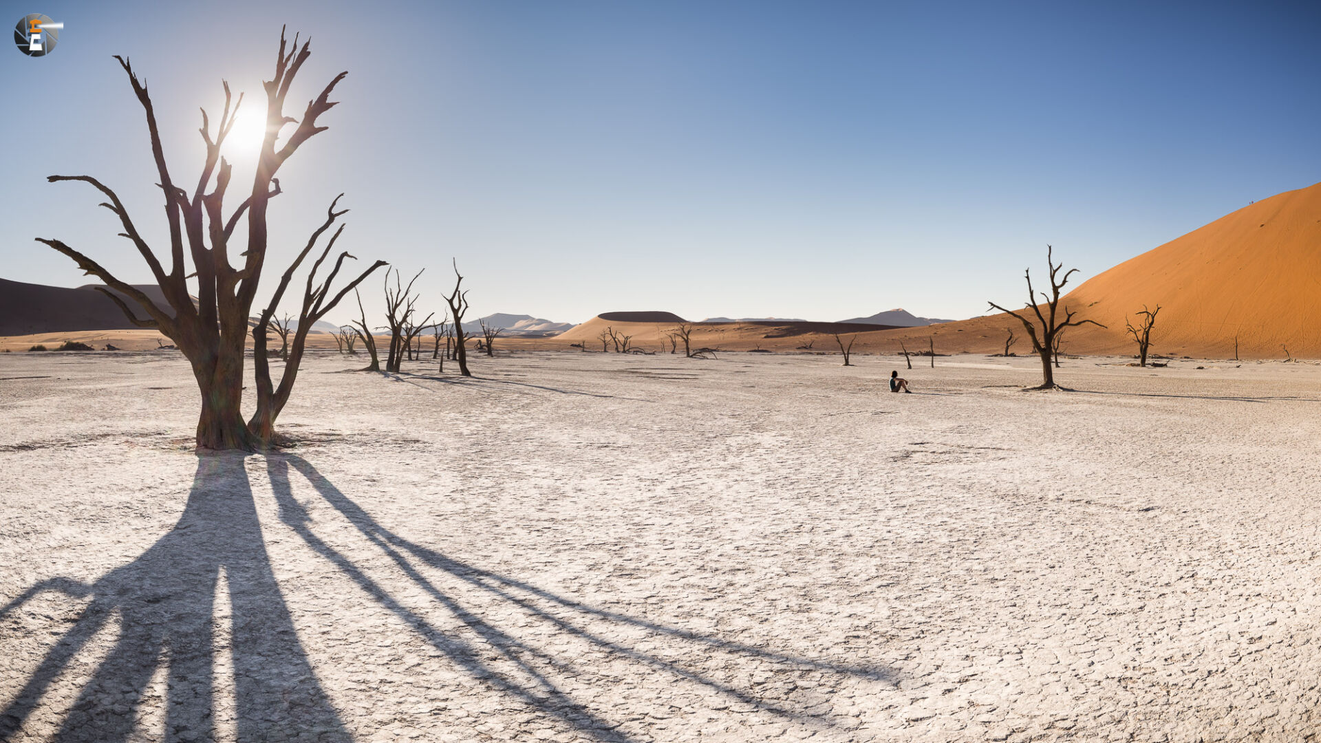 Dead Vlei