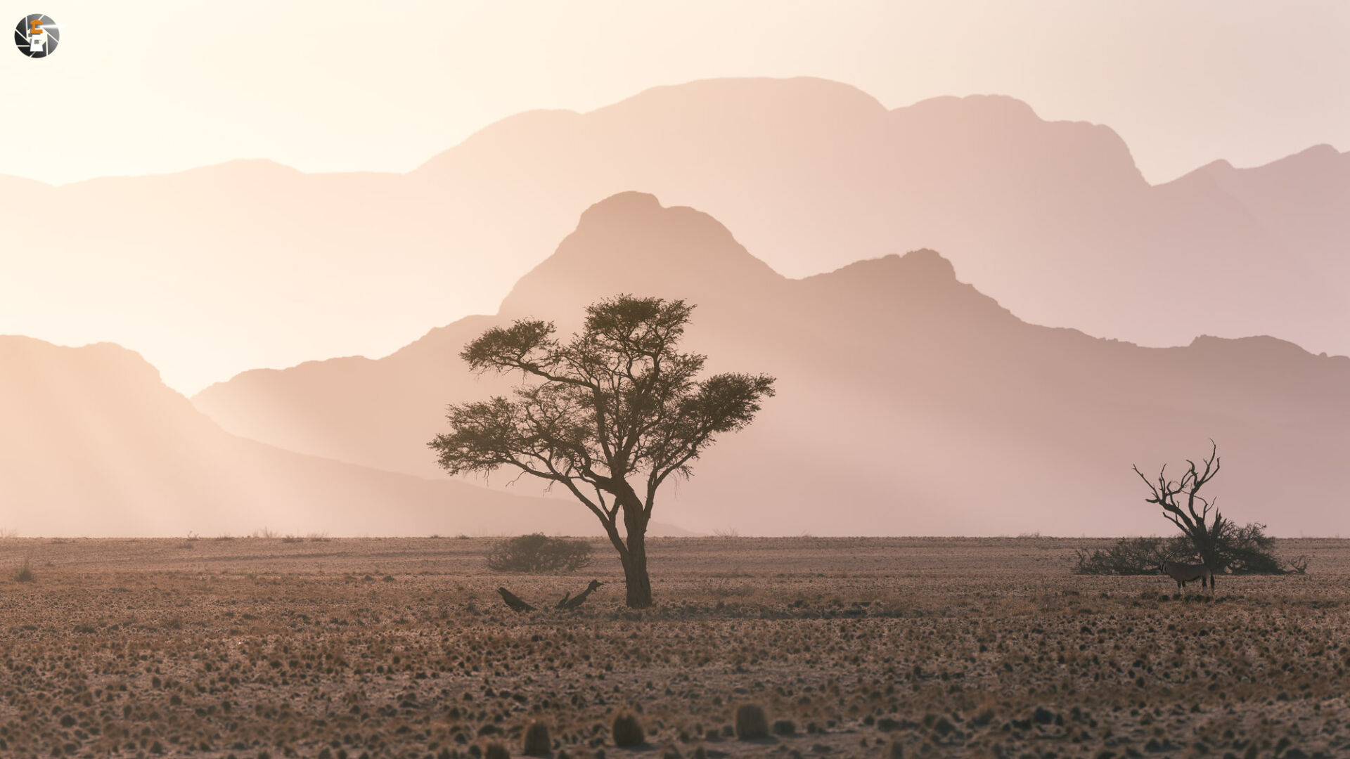 Naukluft mountains in morning sun