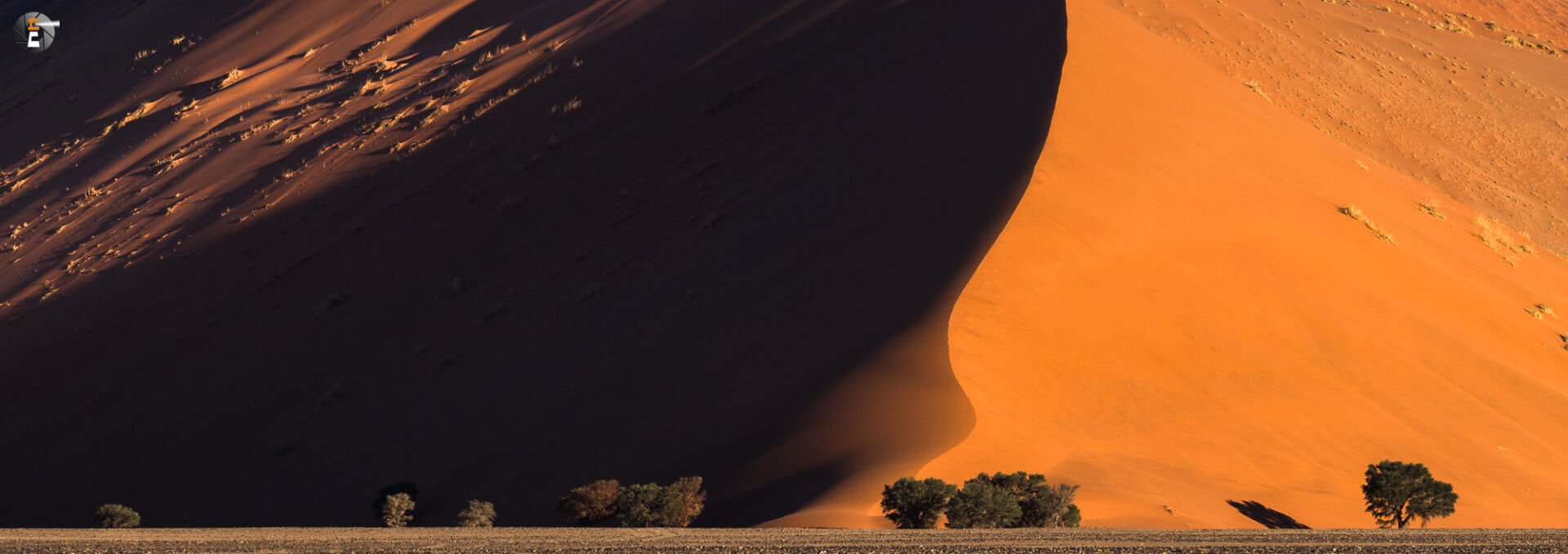 Dune 40 in evening sun