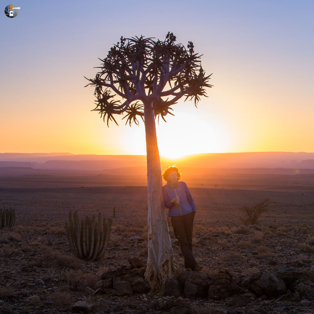 Sundowner under a quiver tree