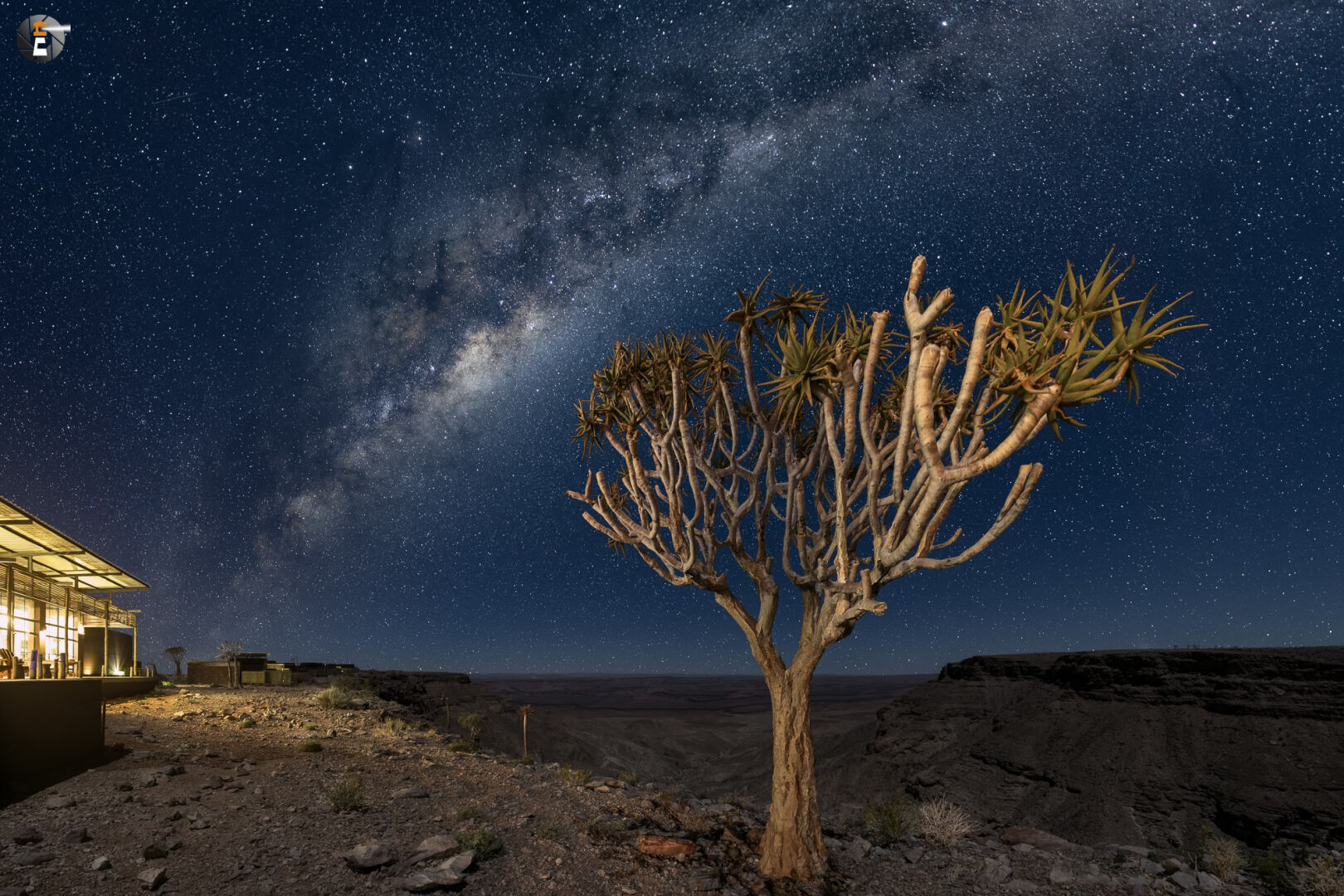 Quiver Tree and Milky Way