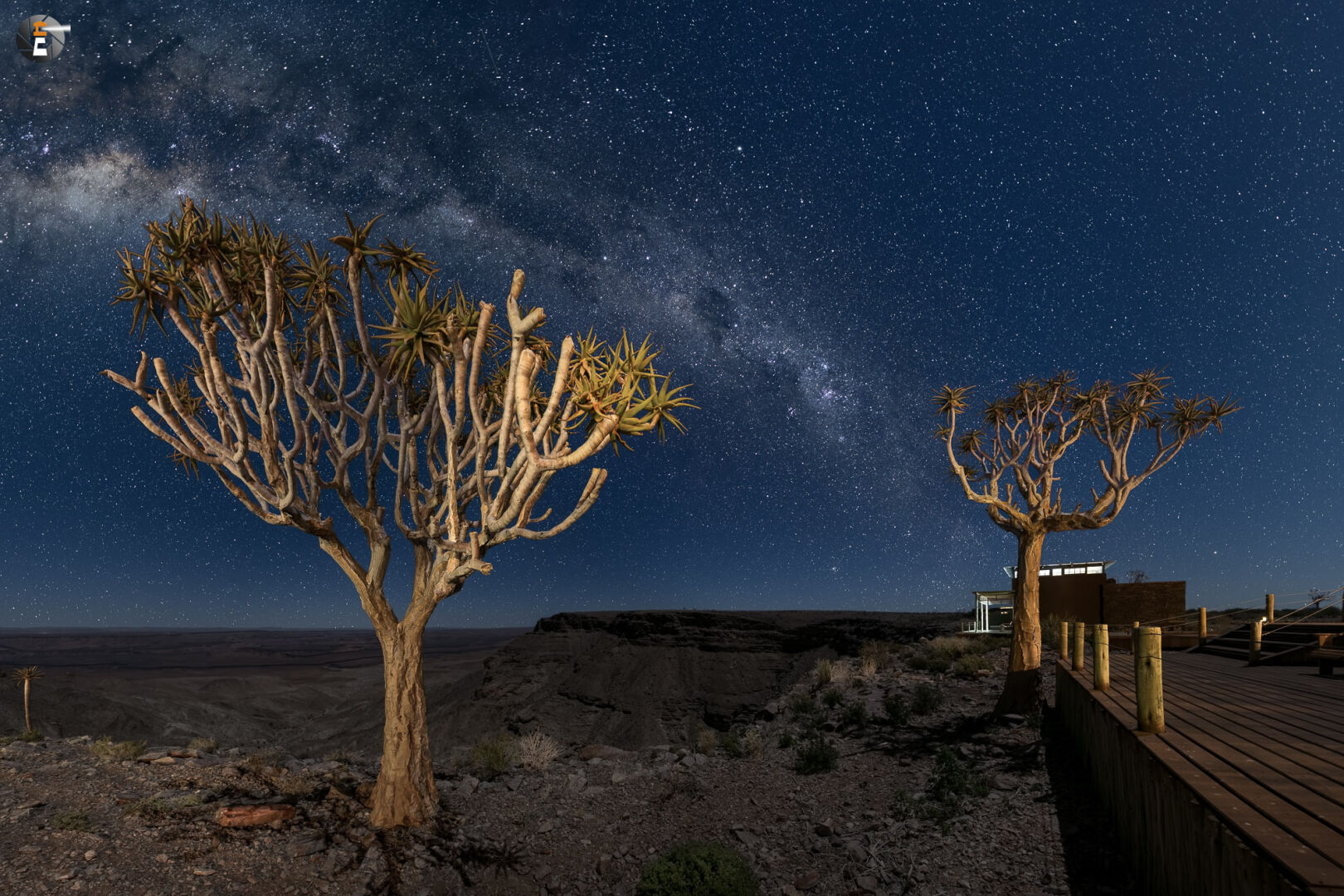 Quiver Trees and Milky Way