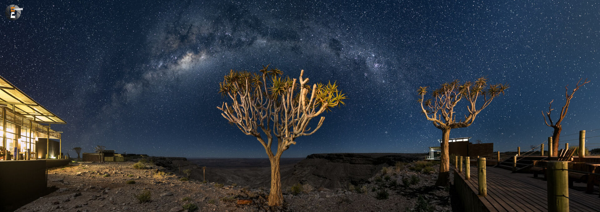 Quiver Trees under starry Sky