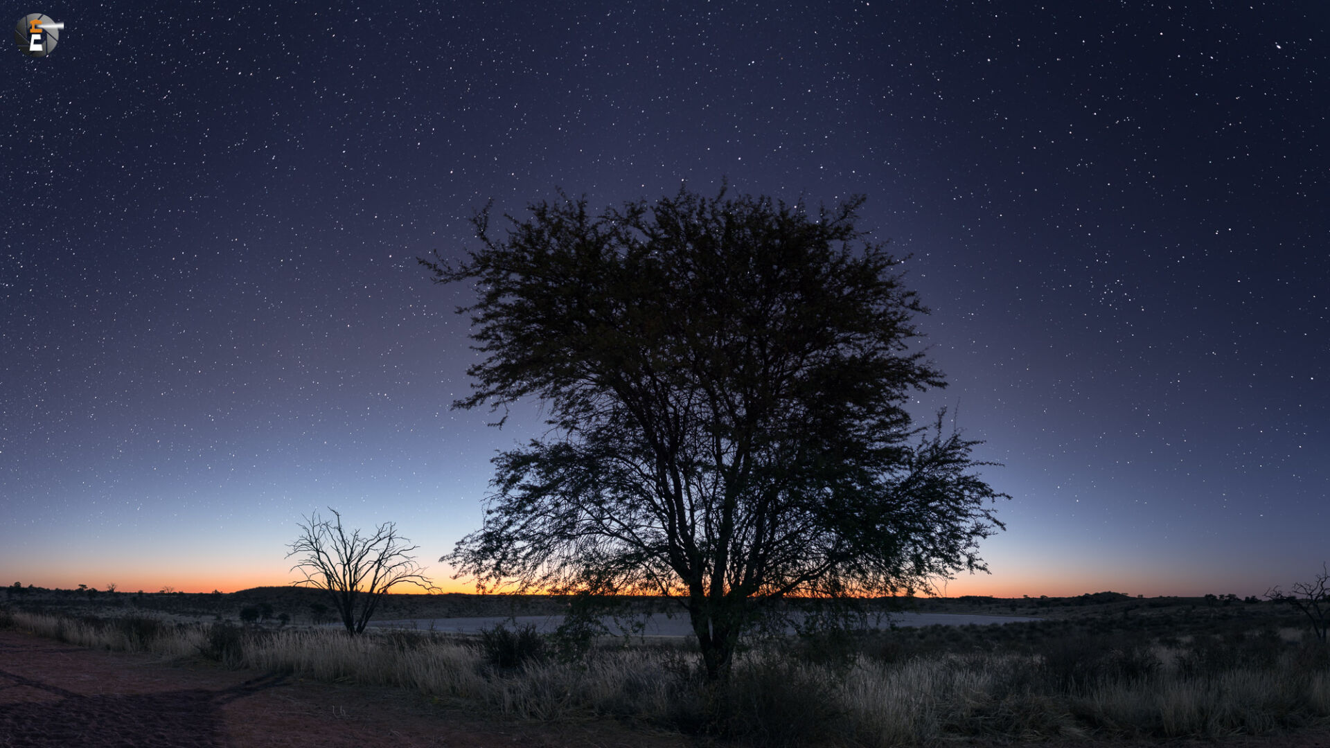 Bitterpan under stars
