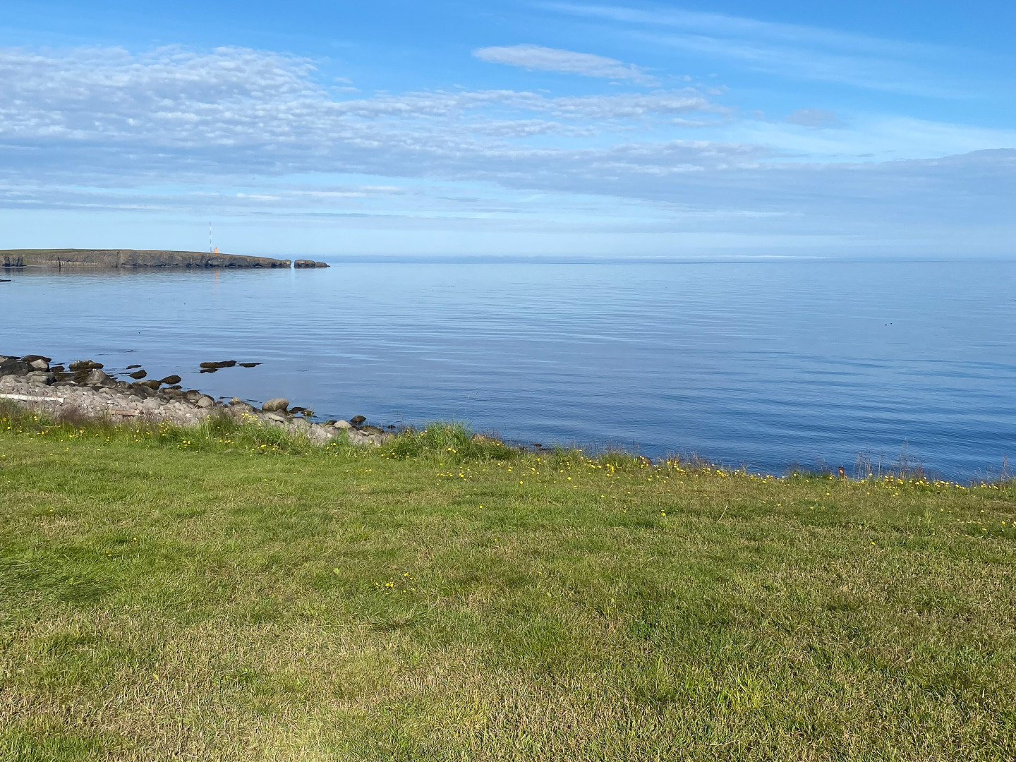 Ententeich am Nordatlantik