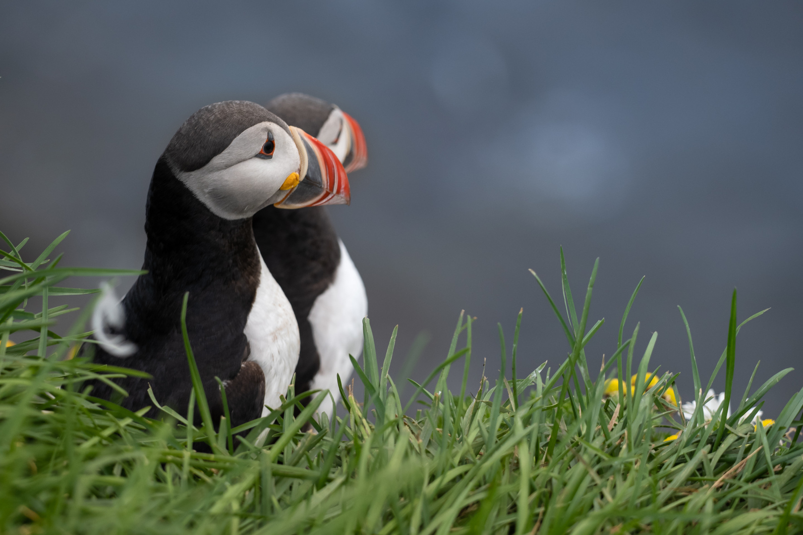 Vestfirðir /Iceland
