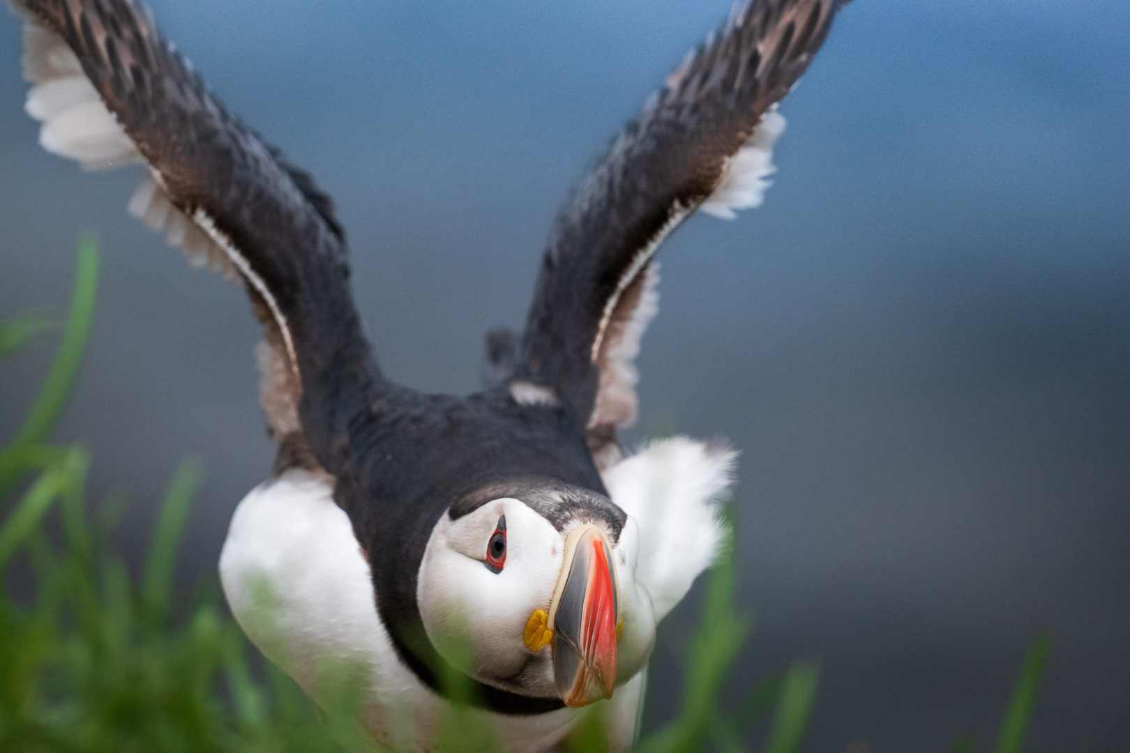 Vestfirðir /Iceland