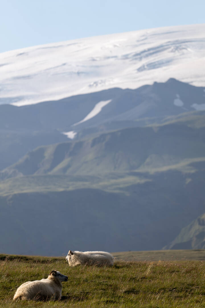 Blick auf den Mýrdalsjökull