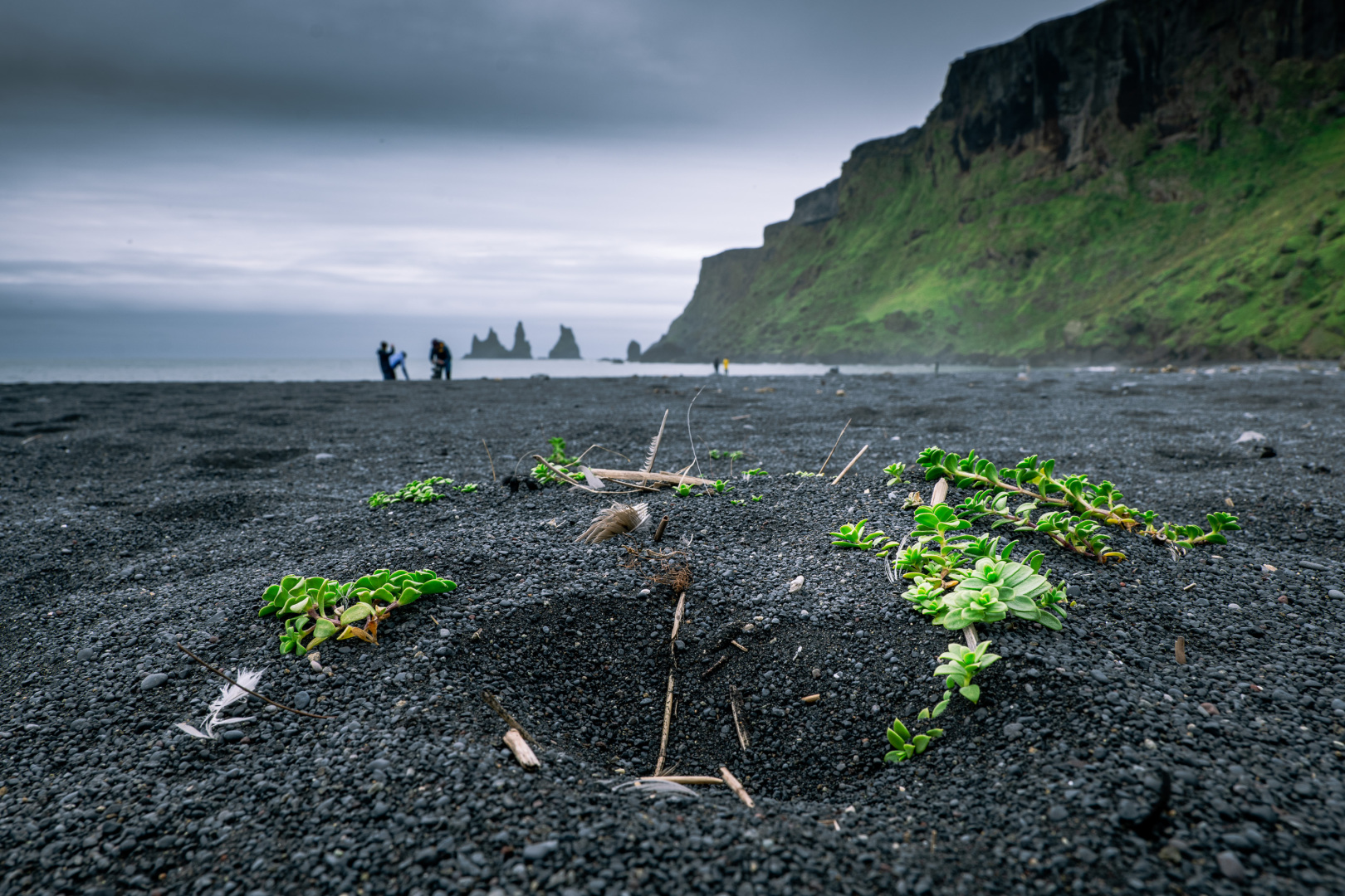 An der Reynisfjara, im Hintergrund die Reynisdrangar