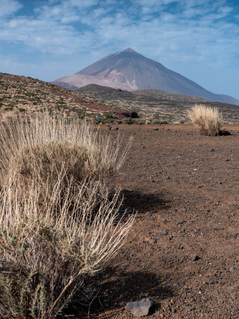 View to Teide from Corral del Niño
