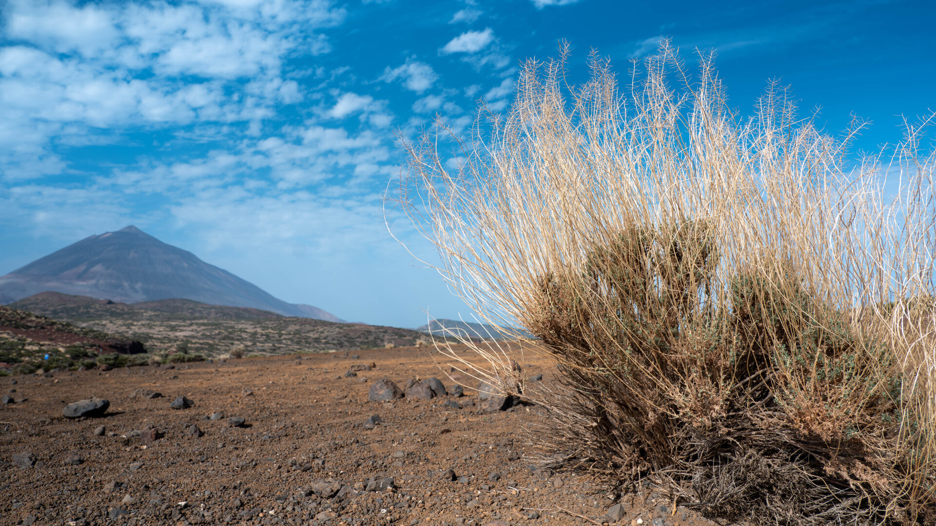 View to Teide from Corral del Niño