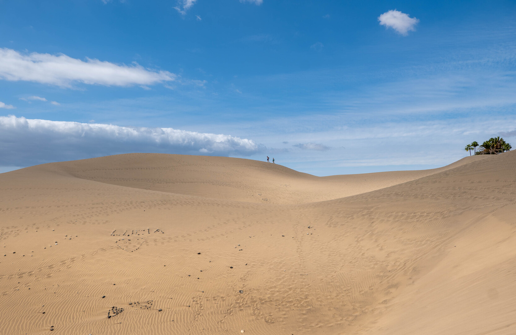 Dünen von Maspalomas