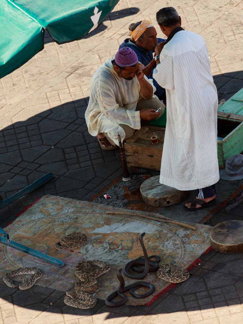 Schlangenbeschwörer