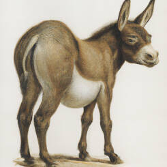 Alfons Maria Mucha – 07