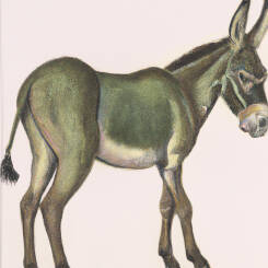 Alfons Maria Mucha – 24