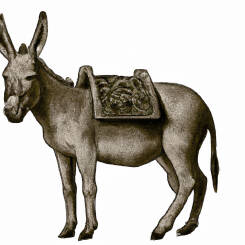 Alfons Maria Mucha – 82