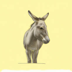 Alfons Maria Mucha – 87