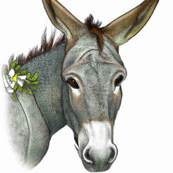 Alfons Maria Mucha – 89