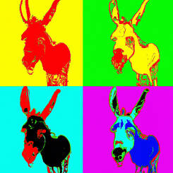 Andy Warhol – 03