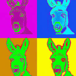 Andy Warhol – 13
