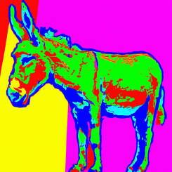 Andy Warhol – 14