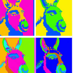 Andy Warhol – 19