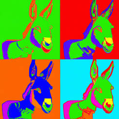 Andy Warhol – 27