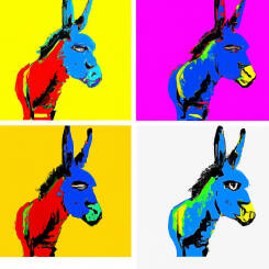 Andy Warhol – 34