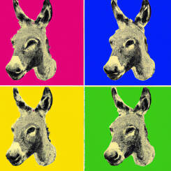 Andy Warhol – 37