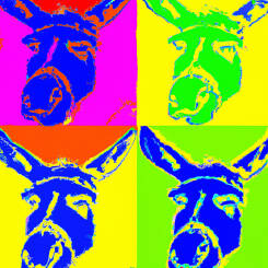 Andy Warhol – 38