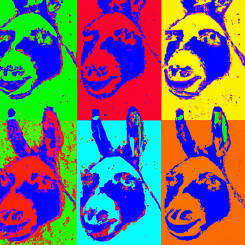 Andy Warhol – 39