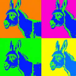 Andy Warhol – 40