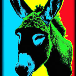 Andy Warhol – 49
