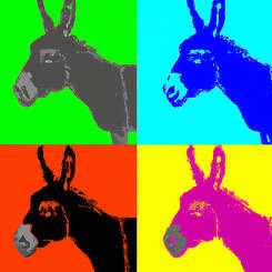 Andy Warhol – 51