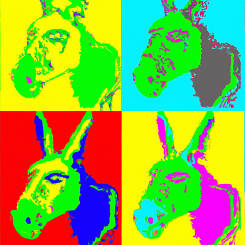 Andy Warhol – 56