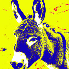 Andy Warhol – 58
