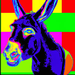 Andy Warhol – 72