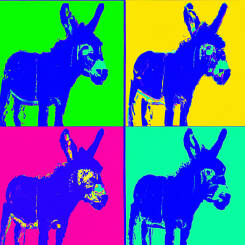 Andy Warhol – 73