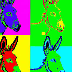 Andy Warhol – 76