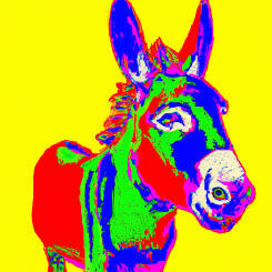Andy Warhol – 77