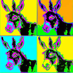 Andy Warhol – 79