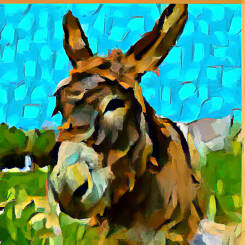 Vincent Van Gogh – 14