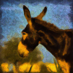 Vincent Van Gogh – 22