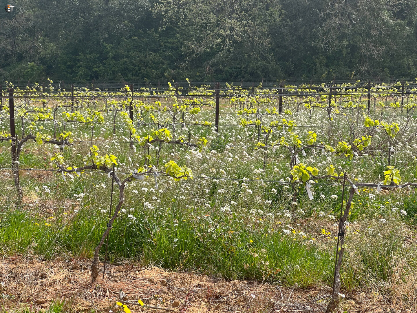 Rund um den Pont-du-Gard