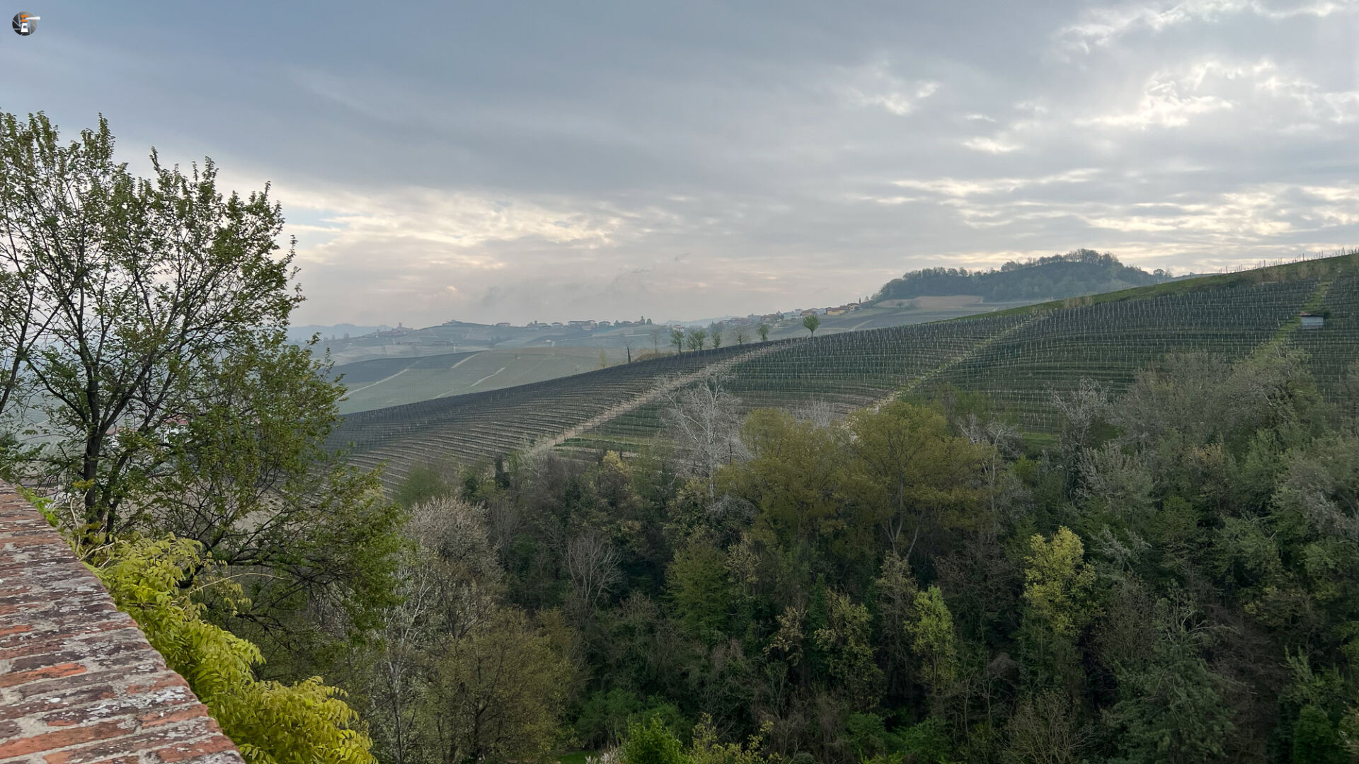 Langhe