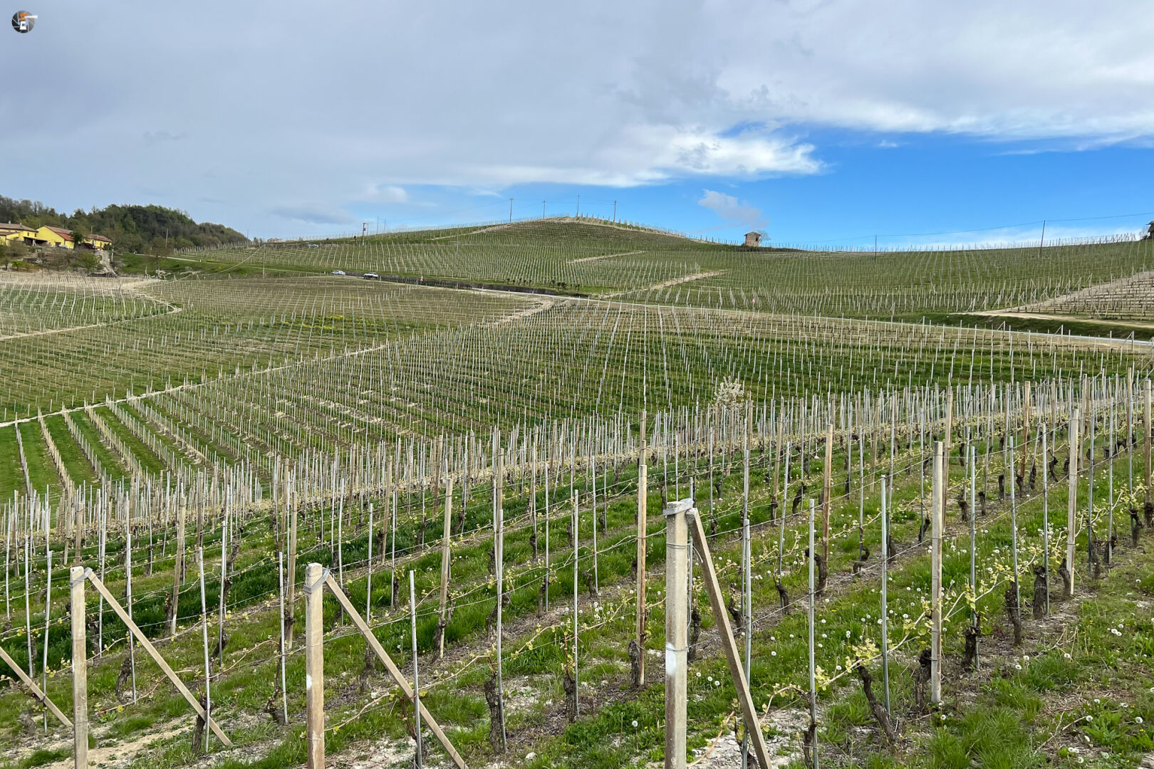 Langhe